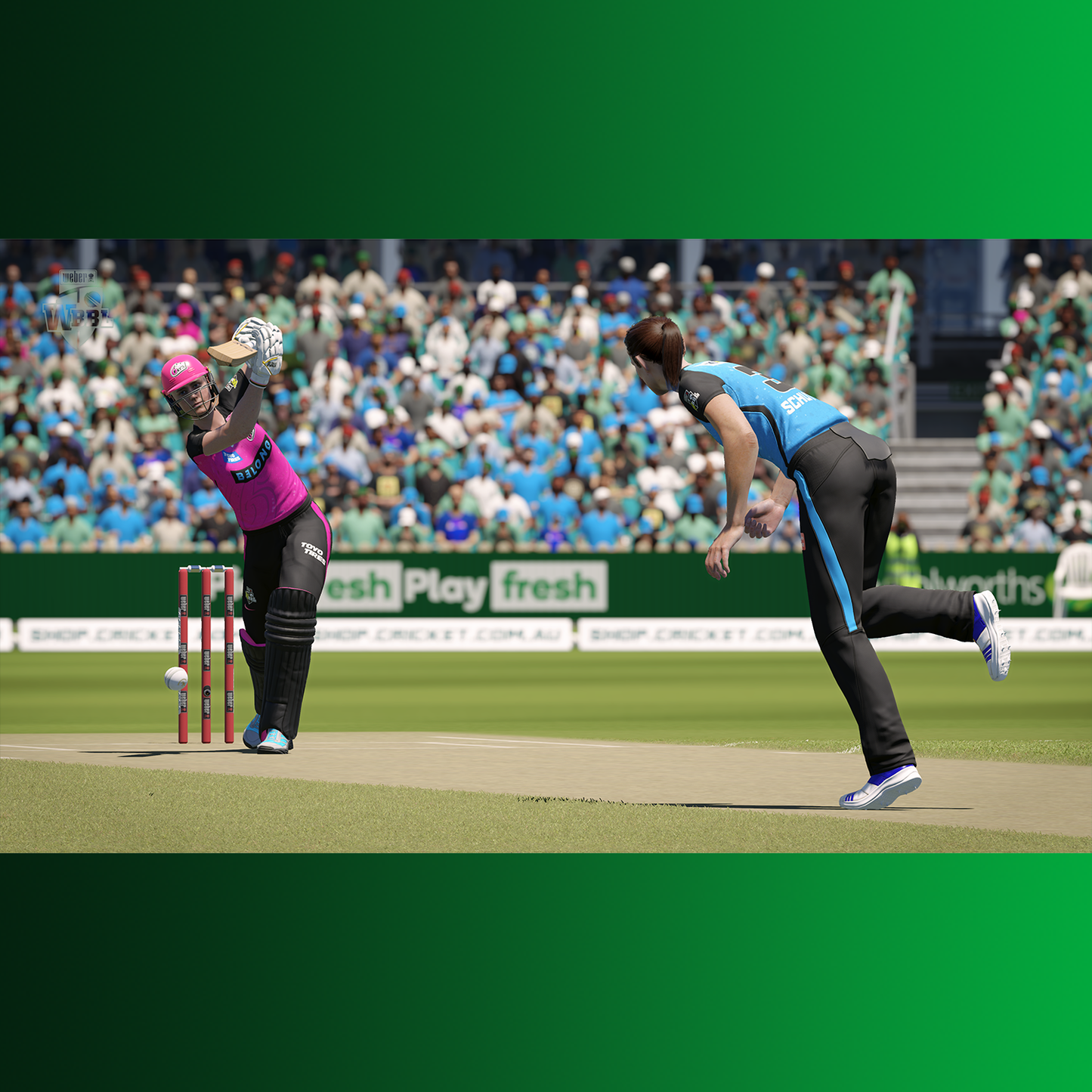 Cricket 24 - Official Game Of The Ashes PS4