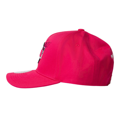 Sydney Sixers Team Pro Pinch Panel SB Mens